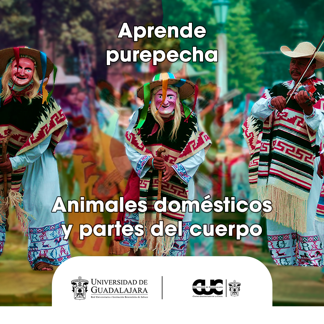 animales y partes del cuerpo purepecha