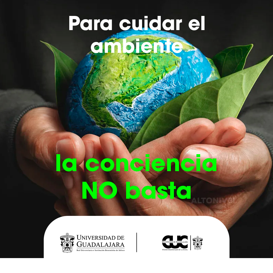 Ambiente conciencia 