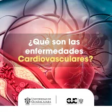 enfermedades cardiovasculares