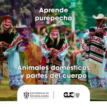 animales y partes del cuerpo purepecha