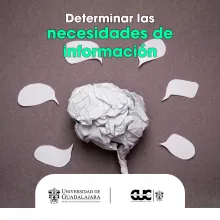 determinar necesidades informacion
