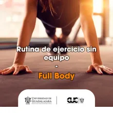 ejercicios fullbody