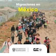 migración 