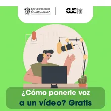 voz video