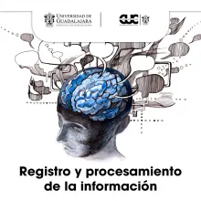 registro procesamiento informacion