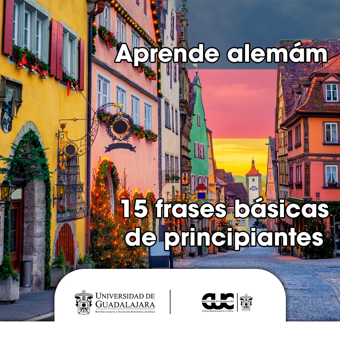 frases basicas principiantes aleman