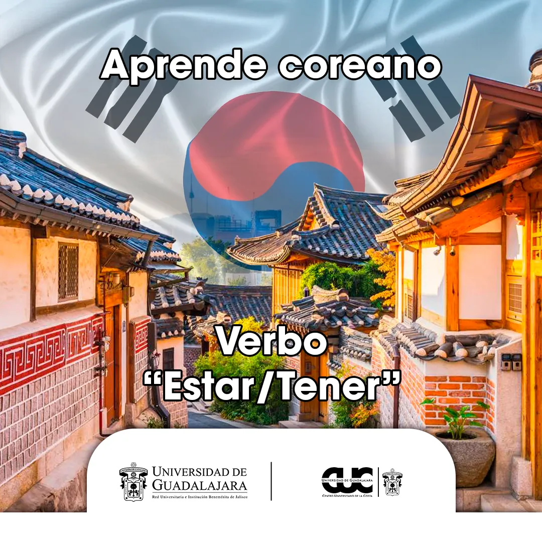 verbo estar tener coreano